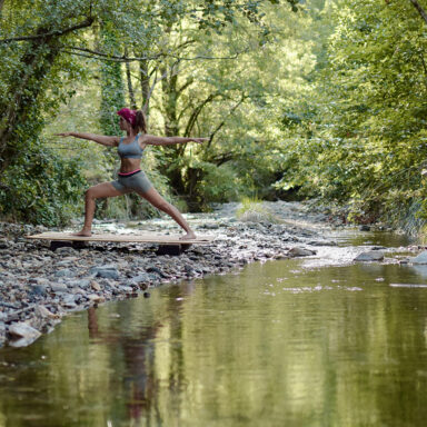 yoga vinyasa - yoga flow
